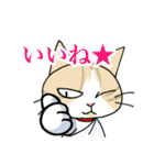 マイケル先生のLINEスタンプ（個別スタンプ：14）