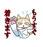 マイケル先生のLINEスタンプ（個別スタンプ：25）