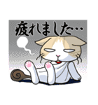 マイケル先生のLINEスタンプ（個別スタンプ：37）