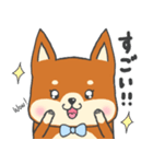 まいにち使って☆柴犬さん｟2｠（個別スタンプ：13）