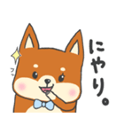 まいにち使って☆柴犬さん｟2｠（個別スタンプ：27）