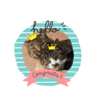 猫LOVE♥️（個別スタンプ：2）