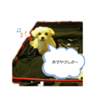 いとしのまる子2（個別スタンプ：1）