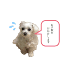 いとしのまる子2（個別スタンプ：5）