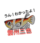 メダカの一言。（個別スタンプ：1）