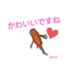 メダカの一言。（個別スタンプ：6）