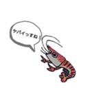メダカの一言。（個別スタンプ：9）