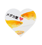 メダカの一言。（個別スタンプ：13）