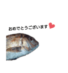 メダカの一言。（個別スタンプ：15）