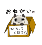 見つめるネコちゃん(？)との楽しい日常-2（個別スタンプ：1）