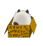 見つめるネコちゃん(？)との楽しい日常-2（個別スタンプ：2）