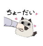 見つめるネコちゃん(？)との楽しい日常-2（個別スタンプ：27）