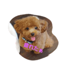 lovelyまろ♡♡♡ここ（個別スタンプ：2）
