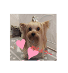 lovelyまろ♡♡♡ここ（個別スタンプ：3）