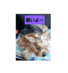 lovelyまろ♡♡♡ここ（個別スタンプ：4）
