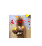 lovelyまろ♡♡♡ここ（個別スタンプ：6）