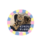 越後谷スタンプ（個別スタンプ：3）