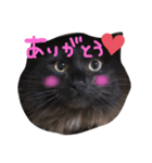 もひじょーさん♡（個別スタンプ：6）