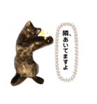 もひじょーさん♡（個別スタンプ：8）