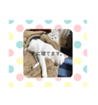 ななまるひより（個別スタンプ：5）
