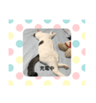 ななまるひより（個別スタンプ：6）