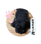 ろくべい君スタンプ（個別スタンプ：2）