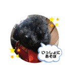 ろくべい君スタンプ（個別スタンプ：5）
