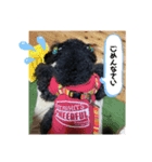 ろくべい君スタンプ（個別スタンプ：6）