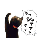 黒猫くろえさん（個別スタンプ：10）