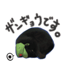 黒猫くろえさん（個別スタンプ：13）