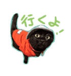 黒猫くろえさん（個別スタンプ：16）