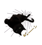 黒猫くろえさん（個別スタンプ：17）