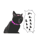 黒猫くろえさん（個別スタンプ：18）