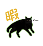 黒猫くろえさん（個別スタンプ：19）
