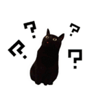 黒猫くろえさん（個別スタンプ：20）