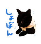 黒猫くろえさん（個別スタンプ：25）