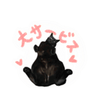 黒猫くろえさん（個別スタンプ：28）