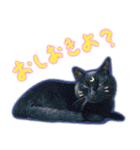 黒猫くろえさん（個別スタンプ：29）