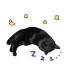 黒猫くろえさん（個別スタンプ：32）