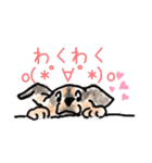 Ringoスタンプ（個別スタンプ：19）