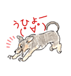 Ringoスタンプ（個別スタンプ：23）