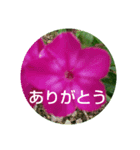 お花の妖精（個別スタンプ：2）