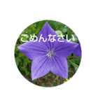 お花の妖精（個別スタンプ：3）