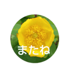 お花の妖精（個別スタンプ：4）