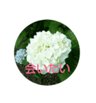 お花の妖精（個別スタンプ：7）