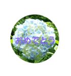 お花の妖精（個別スタンプ：8）