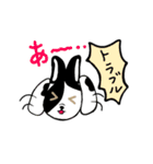犬！ホッコリ伝わる♡毎日使えるスタンプ♪（個別スタンプ：8）