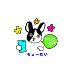 犬！ホッコリ伝わる♡毎日使えるスタンプ♪（個別スタンプ：17）