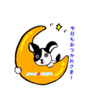 犬！ホッコリ伝わる♡毎日使えるスタンプ♪（個別スタンプ：19）