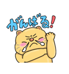 ぽっちゃりねこのスタンプ（個別スタンプ：9）